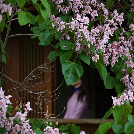 吾爱堂 Apartment ลี่เจียง ภายนอก รูปภาพ