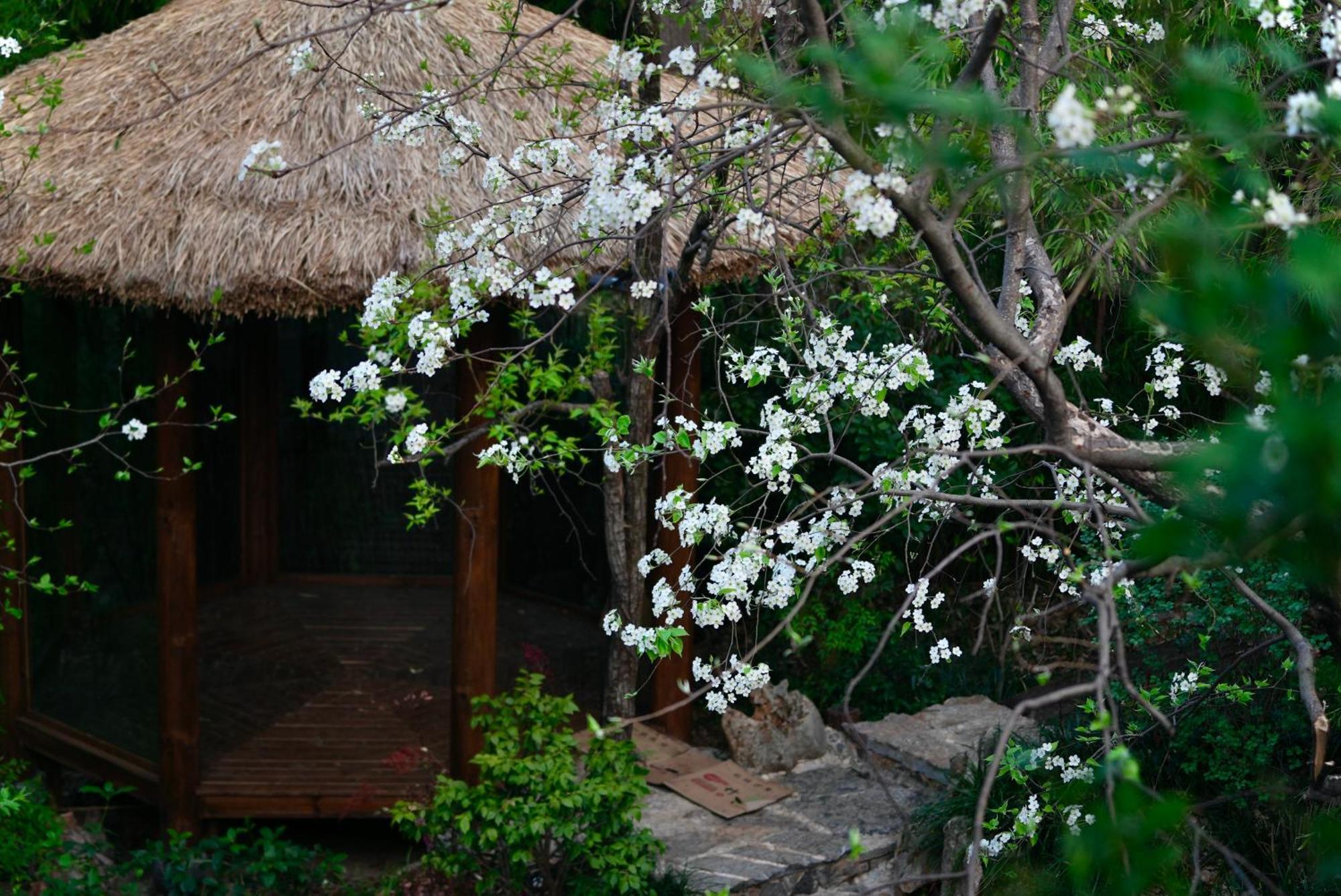 吾爱堂 Apartment ลี่เจียง ภายนอก รูปภาพ