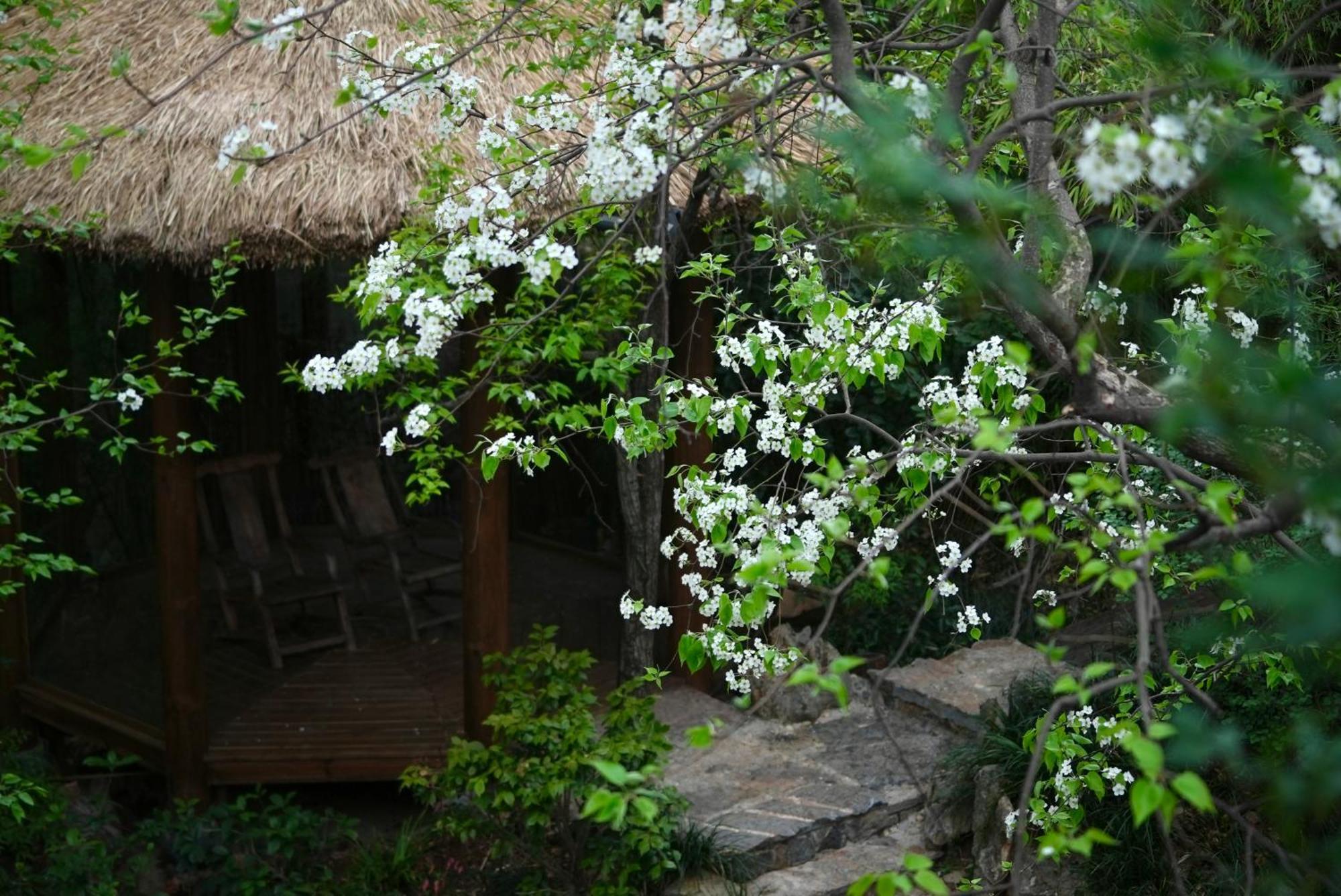 吾爱堂 Apartment ลี่เจียง ภายนอก รูปภาพ