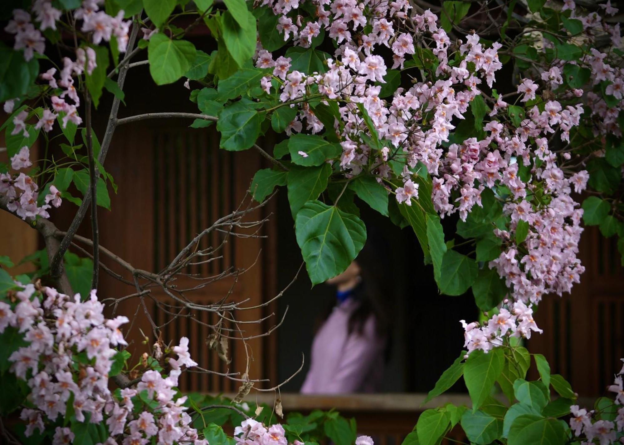 吾爱堂 Apartment ลี่เจียง ภายนอก รูปภาพ